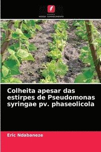 bokomslag Colheita apesar das estirpes de Pseudomonas syringae pv. phaseolicola