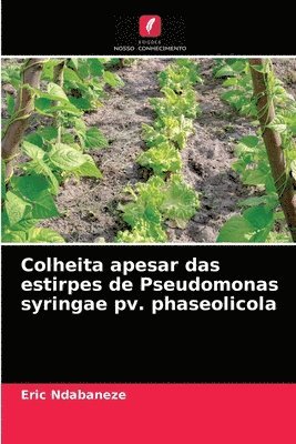 Colheita apesar das estirpes de Pseudomonas syringae pv. phaseolicola 1