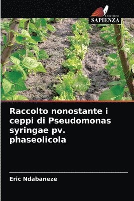 Raccolto nonostante i ceppi di Pseudomonas syringae pv. phaseolicola 1