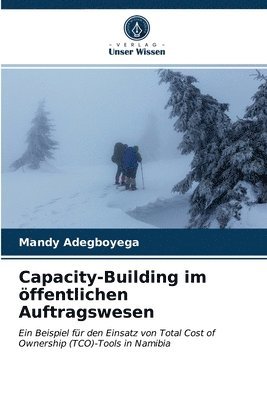 bokomslag Capacity-Building im oeffentlichen Auftragswesen