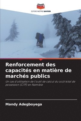 Renforcement des capacites en matiere de marches publics 1