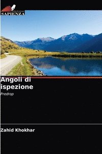 bokomslag Angoli di ispezione