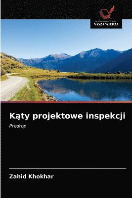 bokomslag K&#261;ty projektowe inspekcji