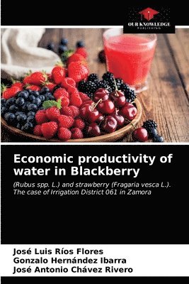 Economic productivity of water in Blackberry 1