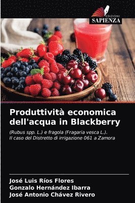 bokomslag Produttivit economica dell'acqua in Blackberry