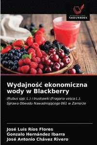 bokomslag Wydajno&#347;c ekonomiczna wody w Blackberry