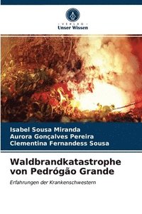 bokomslag Waldbrandkatastrophe von Pedrogao Grande