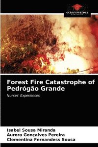 bokomslag Forest Fire Catastrophe of Pedrogao Grande