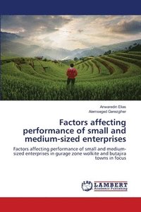 bokomslag Factors affecting performance of small and medium-sized enterprises