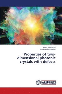 bokomslag Properties of two-dimensional photonic crystals with defects