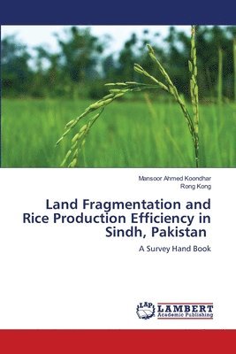 bokomslag Land Fragmentation and Rice Production Efficiency in Sindh, Pakistan