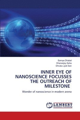 Inner Eye of Nanoscience Focusses the Outreach of Milestone 1
