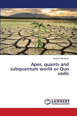 Apes, quants and subquantum world or Quo vadis 1