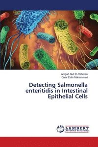 bokomslag Detecting Salmonella enteritidis in Intestinal Epithelial Cells