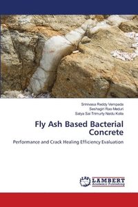bokomslag Fly Ash Based Bacterial Concrete