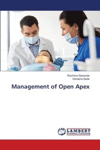 bokomslag Management of Open Apex