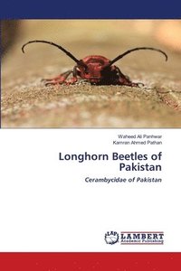 bokomslag Longhorn Beetles of Pakistan