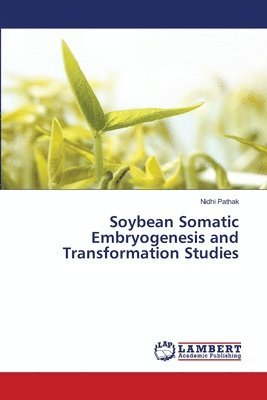 Soybean Somatic Embryogenesis and Transformation Studies 1