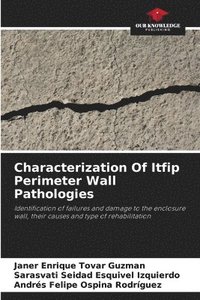 bokomslag Characterization Of Itfip Perimeter Wall Pathologies