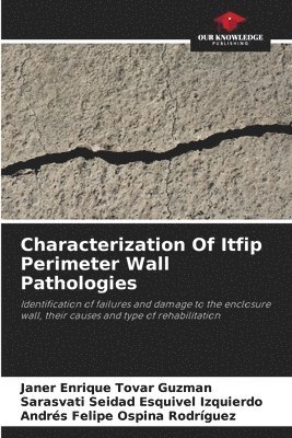 Characterization Of Itfip Perimeter Wall Pathologies 1