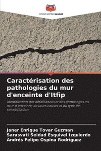 bokomslag Caractrisation des pathologies du mur d'enceinte d'Itfip
