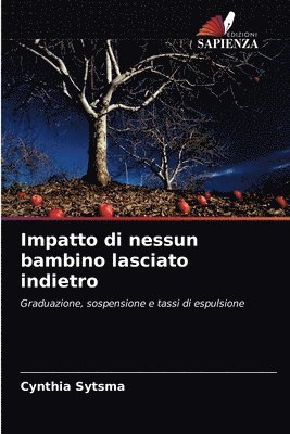 bokomslag Impatto di nessun bambino lasciato indietro