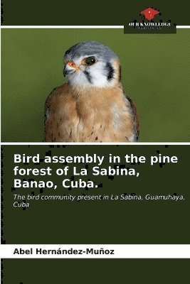 Bird assembly in the pine forest of La Sabina, Banao, Cuba. 1