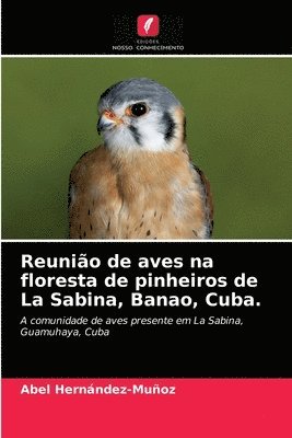 Reunio de aves na floresta de pinheiros de La Sabina, Banao, Cuba. 1