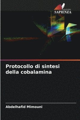 bokomslag Protocollo di sintesi della cobalamina