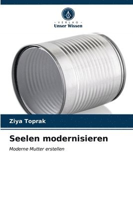 bokomslag Seelen modernisieren