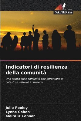 Indicatori di resilienza della comunit 1