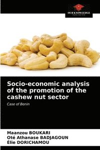 bokomslag Socio-economic analysis of the promotion of the cashew nut sector
