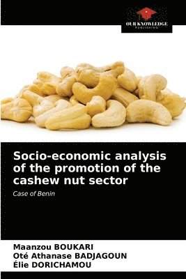 Socio-economic analysis of the promotion of the cashew nut sector 1