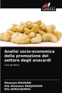 bokomslag Analisi socio-economica della promozione del settore degli anacardi