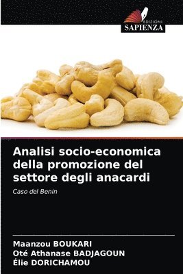 bokomslag Analisi socio-economica della promozione del settore degli anacardi
