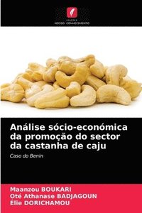 bokomslag Analise socio-economica da promocao do sector da castanha de caju