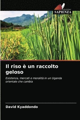 Il riso e un raccolto geloso 1