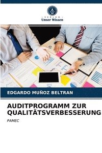 bokomslag Auditprogramm Zur Qualittsverbesserung