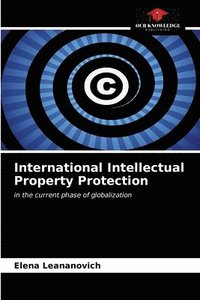 bokomslag International Intellectual Property Protection