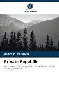 bokomslag Private Republik