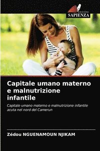 bokomslag Capitale umano materno e malnutrizione infantile