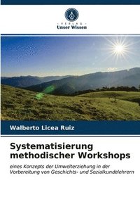 bokomslag Systematisierung methodischer Workshops
