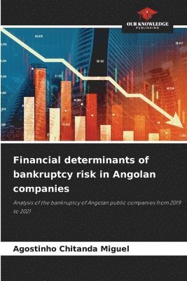 bokomslag Financial determinants of bankruptcy risk in Angolan companies