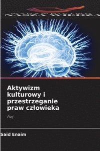 bokomslag Aktywizm kulturowy i przestrzeganie praw czlowieka