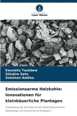 Emissionsarme Holzkohle 1