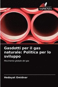 bokomslag Gasdotti per il gas naturale
