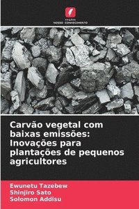 bokomslag Carvo vegetal com baixas emisses