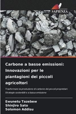 bokomslag Carbone a basse emissioni