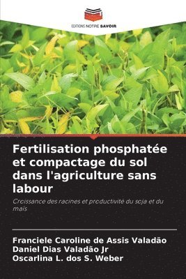 bokomslag Fertilisation phosphate et compactage du sol dans l'agriculture sans labour