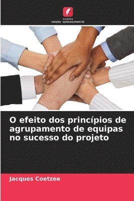 O efeito dos princípios de agrupamento de equipas no sucesso do projeto 1